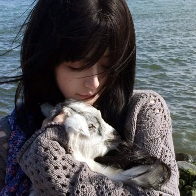 狂犬末日